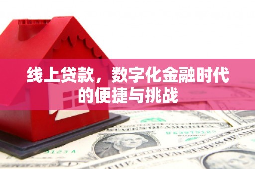 阜阳线上贷款，数字化金融时代的便捷与挑战