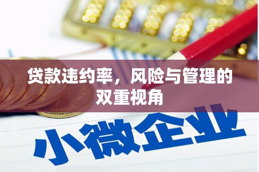 阜阳贷款违约率，风险与管理的双重视角