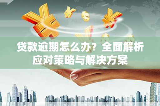 阜阳贷款逾期怎么办？全面解析应对策略与解决方案