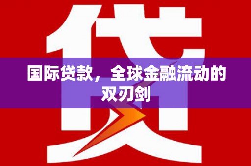 阜阳国际贷款，全球金融流动的双刃剑