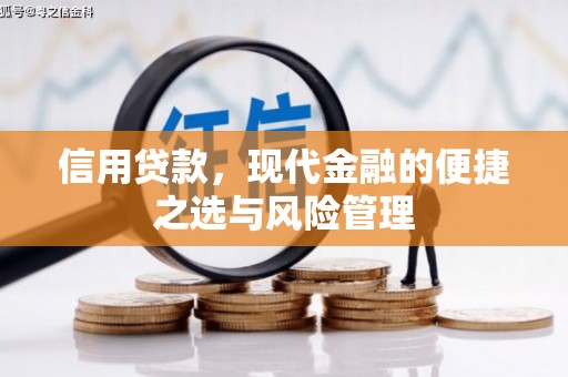 阜阳信用贷款，现代金融的便捷之选与风险管理