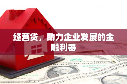 阜阳经营贷，助力企业发展的金融利器