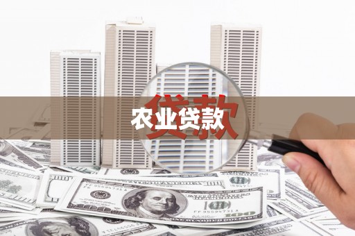 阜阳农业贷款