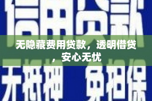 阜阳无隐藏费用贷款，透明借贷，安心无忧