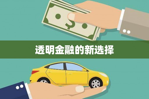 阜阳透明金融的新选择
