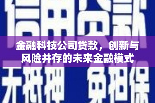 阜阳金融科技公司贷款，创新与风险并存的未来金融模式