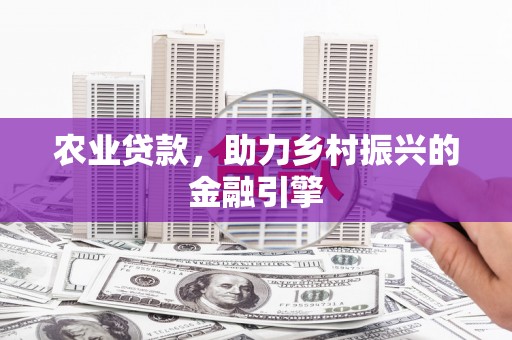 阜阳农业贷款，助力乡村振兴的金融引擎