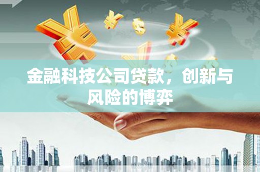 阜阳金融科技公司贷款，创新与风险的博弈