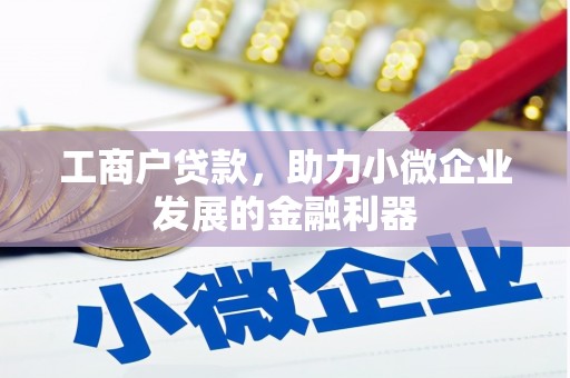 阜阳工商户贷款，助力小微企业发展的金融利器