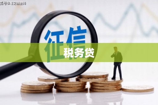 阜阳税务贷