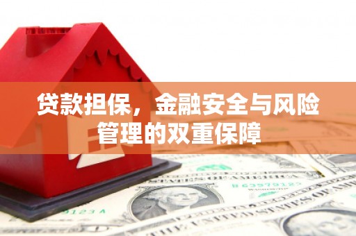 阜阳贷款担保，金融安全与风险管理的双重保障