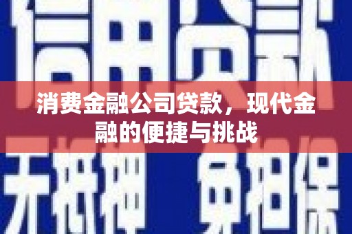 阜阳消费金融公司贷款，现代金融的便捷与挑战