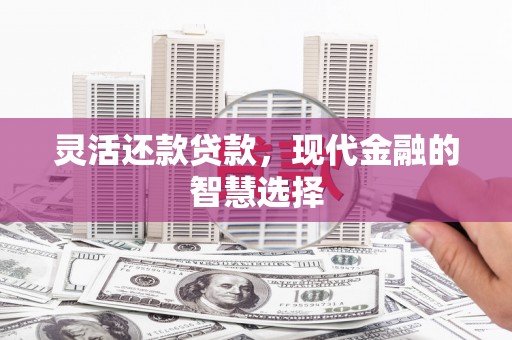 阜阳灵活还款贷款，现代金融的智慧选择