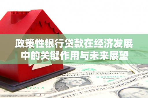 阜阳政策性银行贷款在经济发展中的关键作用与未来展望