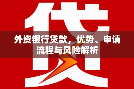 阜阳外资银行贷款，优势、申请流程与风险解析