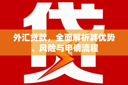 阜阳外汇贷款，全面解析其优势、风险与申请流程