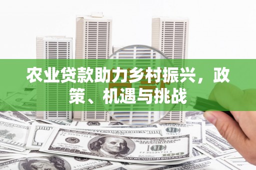 阜阳农业贷款助力乡村振兴，政策、机遇与挑战
