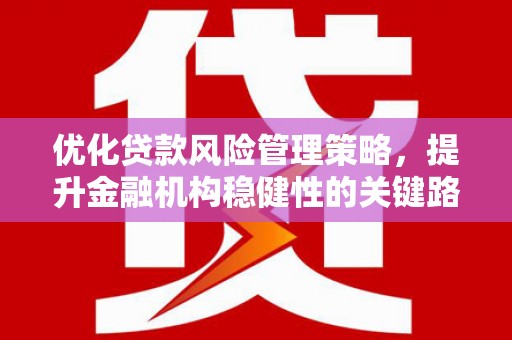阜阳优化贷款风险管理策略，提升金融机构稳健性的关键路径