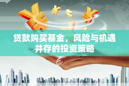 阜阳贷款购买基金，风险与机遇并存的投资策略