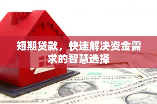 阜阳短期贷款，快速解决资金需求的智慧选择