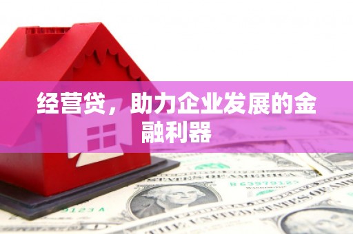 阜阳经营贷，助力企业发展的金融利器