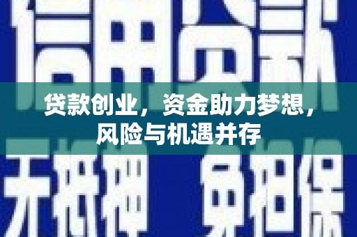 阜阳贷款创业，资金助力梦想，风险与机遇并存