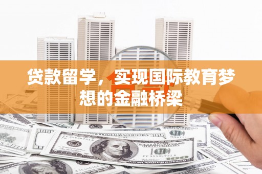 阜阳贷款留学，实现国际教育梦想的金融桥梁