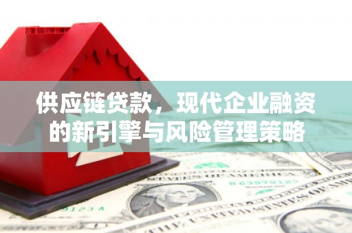 阜阳供应链贷款，现代企业融资的新引擎与风险管理策略