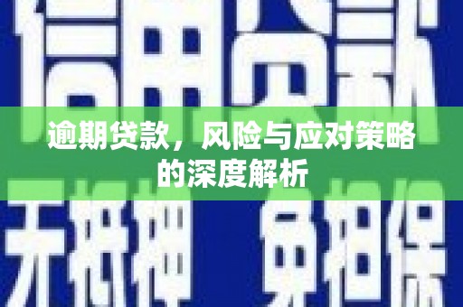 阜阳逾期贷款，风险与应对策略的深度解析