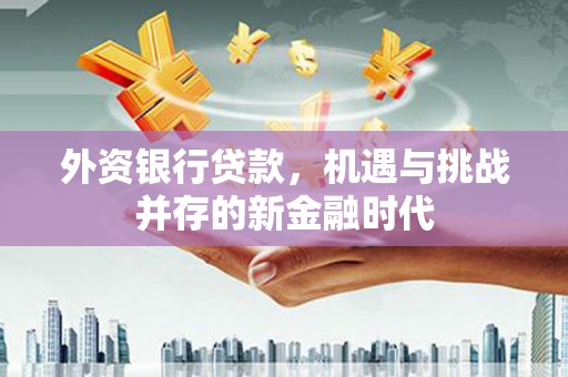 阜阳外资银行贷款，机遇与挑战并存的新金融时代