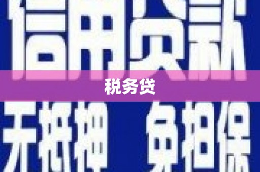 阜阳税务贷