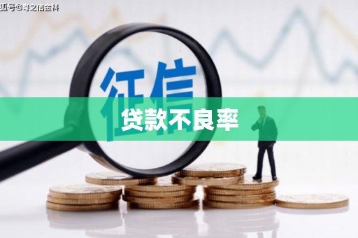阜阳贷款不良率