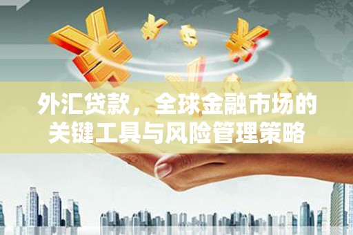 阜阳外汇贷款，全球金融市场的关键工具与风险管理策略