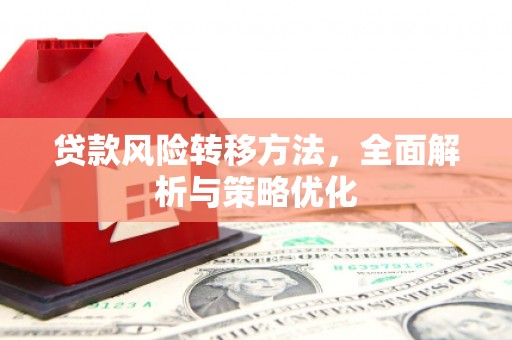 阜阳贷款风险转移方法，全面解析与策略优化