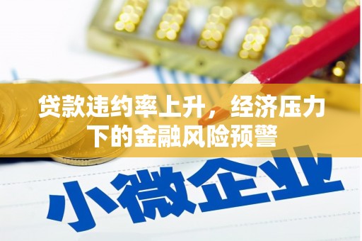 阜阳贷款违约率上升，经济压力下的金融风险预警