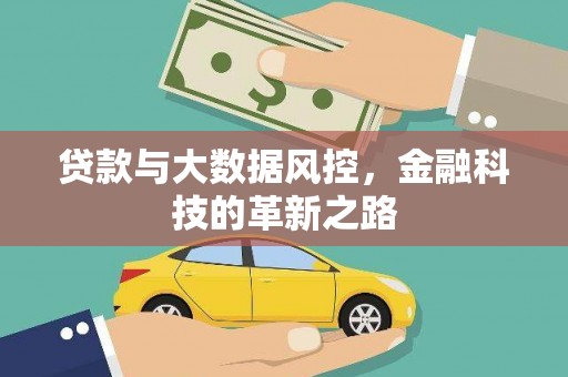 阜阳贷款与大数据风控，金融科技的革新之路