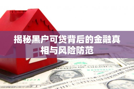 阜阳揭秘黑户可贷背后的金融真相与风险防范