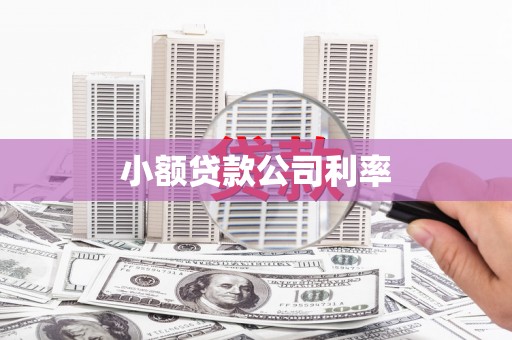 阜阳小额贷款公司利率