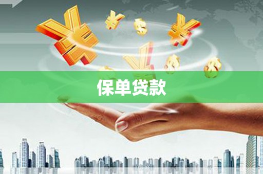阜阳保单贷款