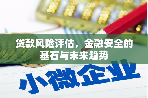 阜阳贷款风险评估，金融安全的基石与未来趋势