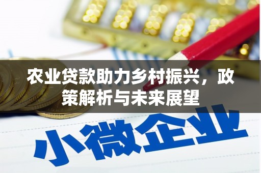 阜阳农业贷款助力乡村振兴，政策解析与未来展望
