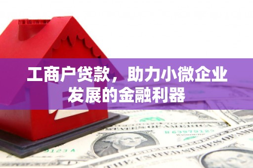 阜阳工商户贷款，助力小微企业发展的金融利器
