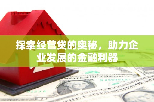阜阳探索经营贷的奥秘，助力企业发展的金融利器