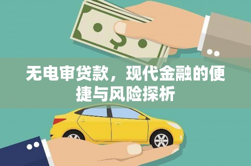 阜阳无电审贷款，现代金融的便捷与风险探析