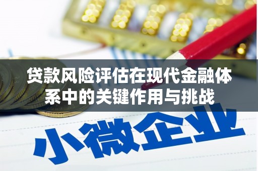 阜阳贷款风险评估在现代金融体系中的关键作用与挑战