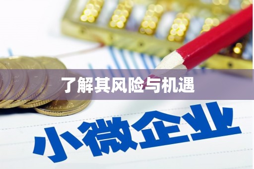 阜阳了解其风险与机遇