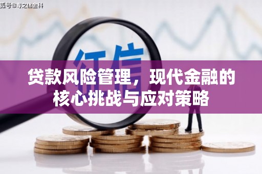 阜阳贷款风险管理，现代金融的核心挑战与应对策略