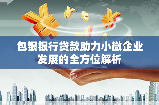 阜阳包银银行贷款助力小微企业发展的全方位解析