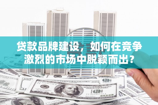 阜阳贷款品牌建设，如何在竞争激烈的市场中脱颖而出？