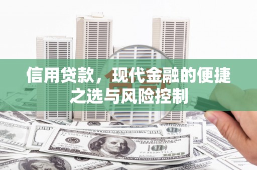 阜阳信用贷款，现代金融的便捷之选与风险控制